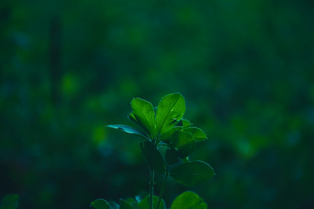 办公设备与数码配件一站式采购：北京茂天格科技的产品线解析